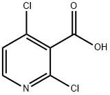 Acido 2,4-dicloropiridina-3-carbossilico