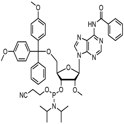 2'-O-metil-rA(N-Bz)fosforamide