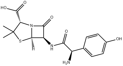 Amoxicillina