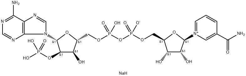 BETA-NICOTINAMIDE ADENINA DINUCLEOTIDE FOSFATO SALE SODICO