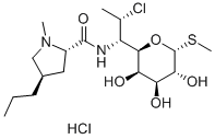 Clindamicina cloridrato
