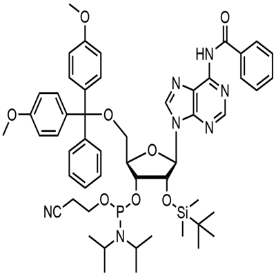 N-Benzoil-5'-O-(4,4-Dimetossitritil)-2'-O-[(tert-butil)dimetilsilil]adenosina-3'-(2-cianoetil-N,N-diisopropil)fosforammidito
